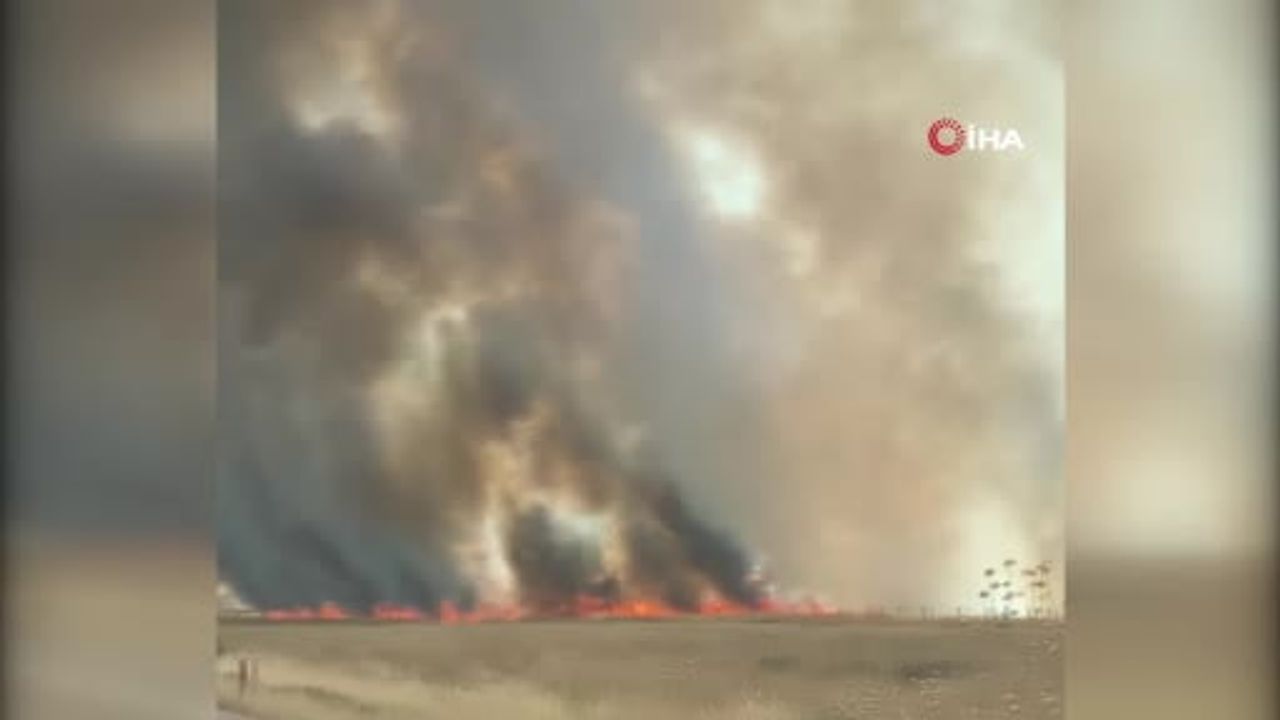 Nusaybin'de anız yangını görüşü düşürdü tır bariyerlere çarptı