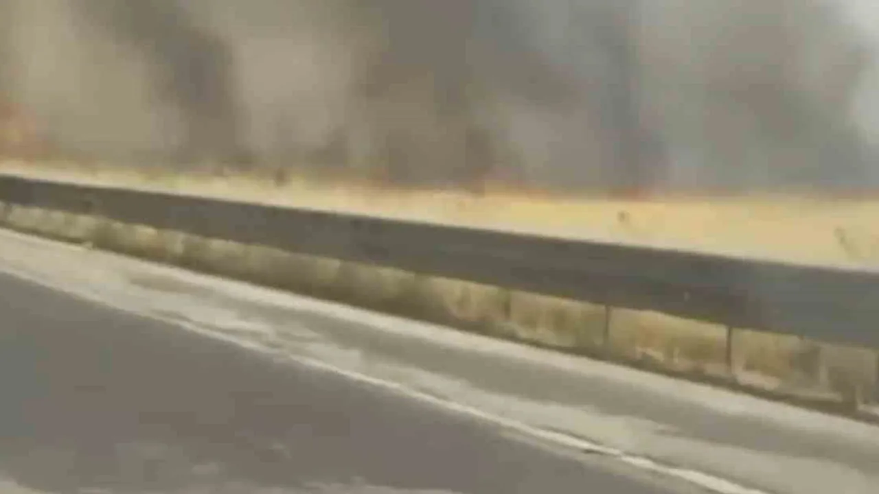 Nusaybin'de müdahale sırasında itfaiye eri trafik kazasında hayatını kaybetti