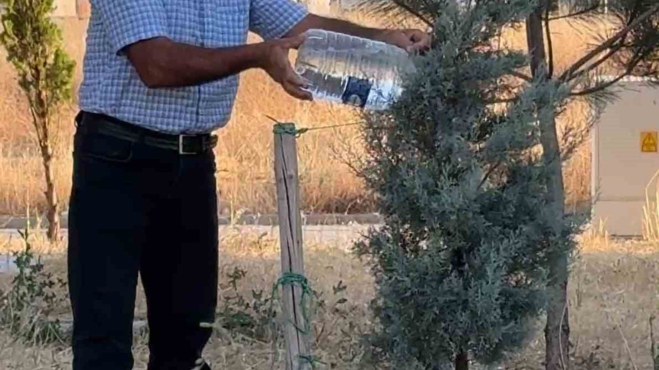 Oğlaklı Mahallesi altyapı ve çevre hizmeti bekliyor