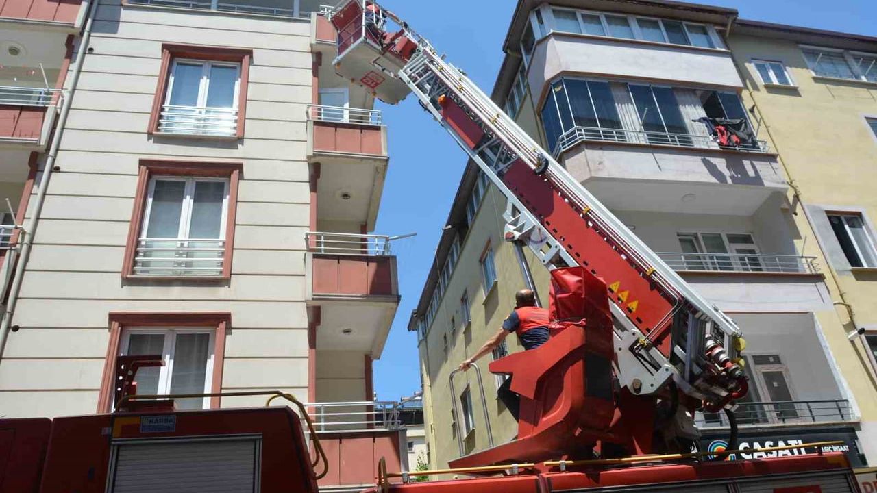 Ordu'da itfaiye ekipleri ebabil kuşunu kurtardı