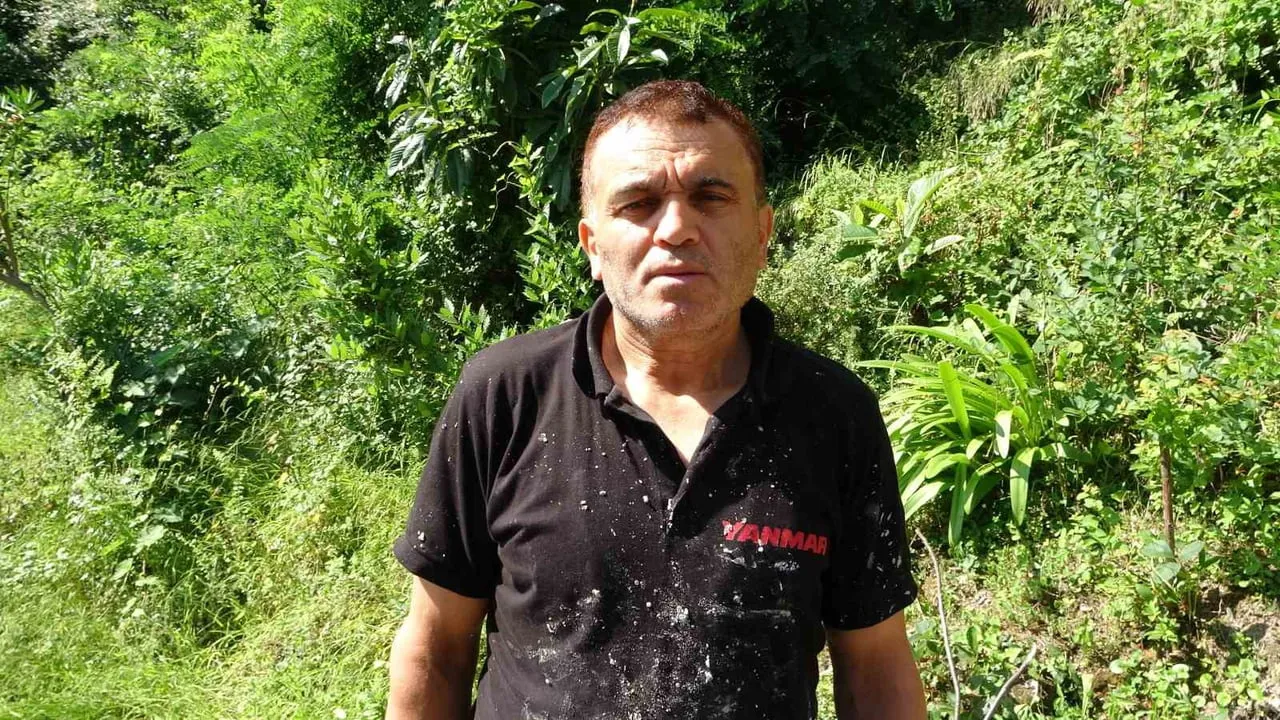 Ordu’da otomobil 30 metreden deniz kıyısına uçtu: 'uçak düşüyor zannettim'