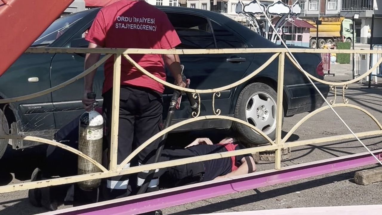 Ordu’da otomobilin egzoz muhafazasına sıkışan yavru kedi itfaiye tarafından kurtarıldı