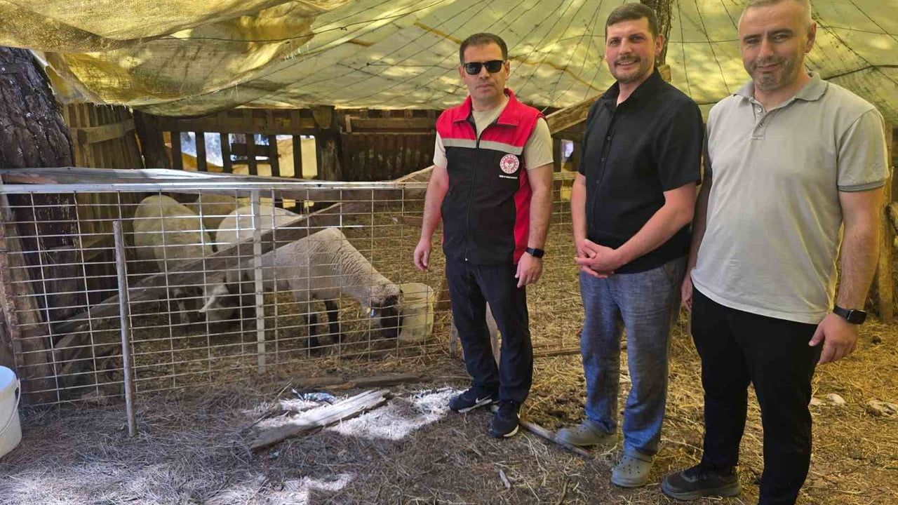 Orhaneli'de hayvan yetiştiren işletmeler kontrol edildi