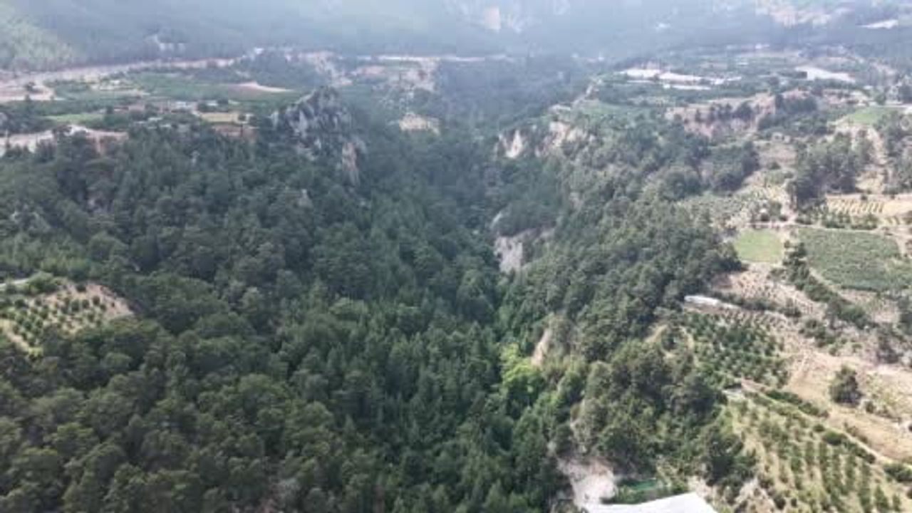 Ormana gizlenen Koramşalı şelalesi bu yıl coşkulu akıyor