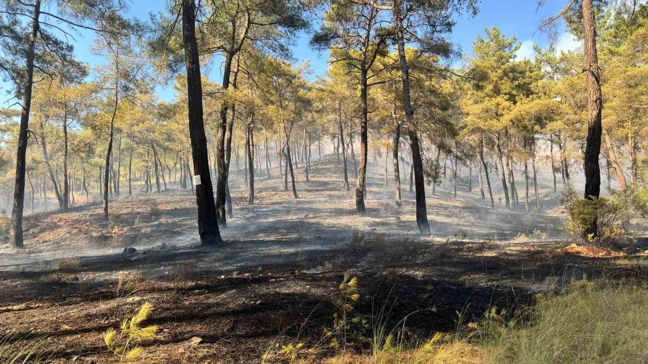 Ortaca’da orman yangını