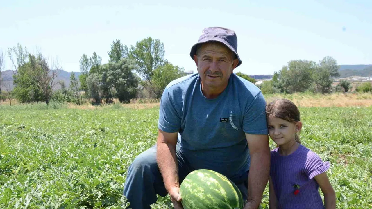 Osmaneli'nde karpuz mesaisi: mevsimlik işçiler tarlada, ürün şehirlere dağılıyor