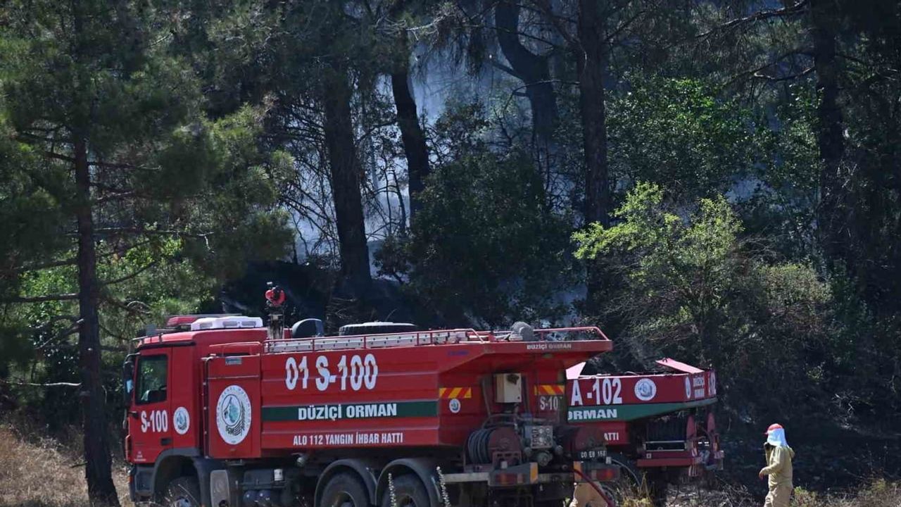Osmaniye'de hızlı müdahale: Türkü mevkiindeki yangın büyük ölçüde kontrol altında