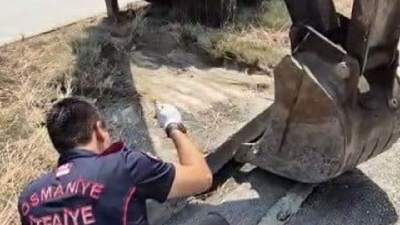 Osmaniye’de mazgala düşen yavru kedi itfaiye ekiplerince kurtarıldı
