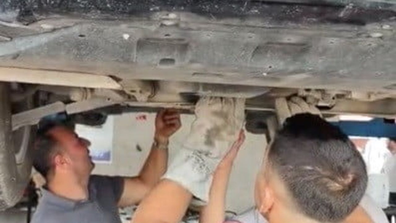 Osmaniye’de otomobilin motoruna sıkışan yavru kedi kurtarıldı