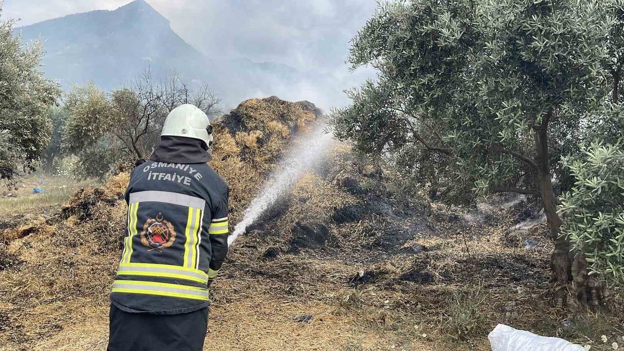Osmaniye'de saman balyası yangını: yaklaşık bin 200 balya ve 15 zeytin fidanı zarar gördü