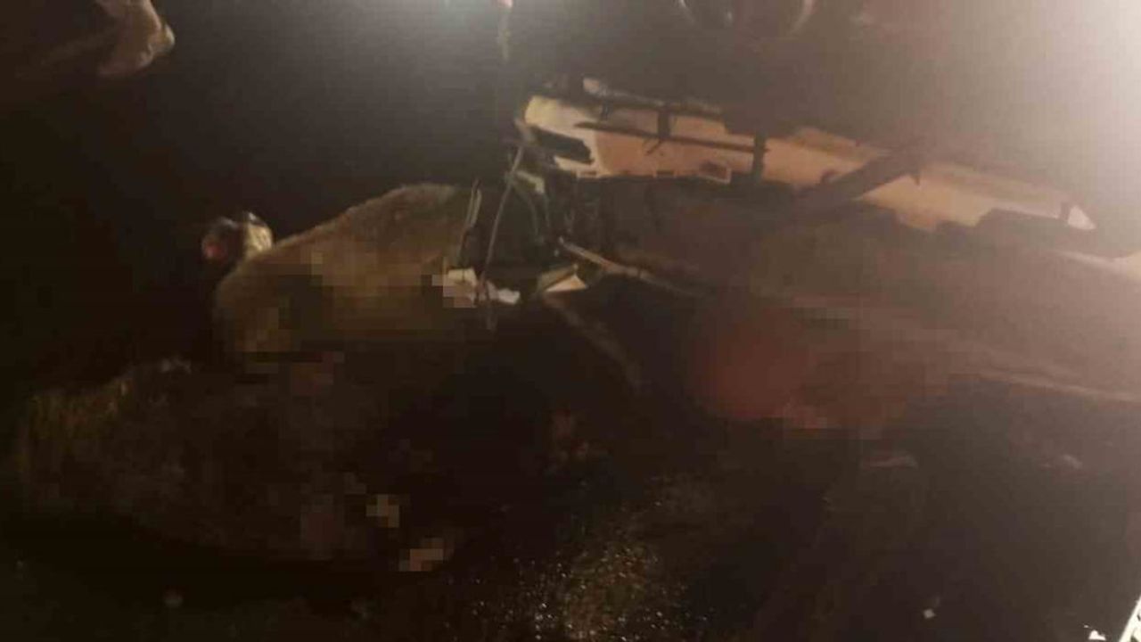 Ovabağ yolunda araç sürüye daldı; 15 küçükbaş telef oldu