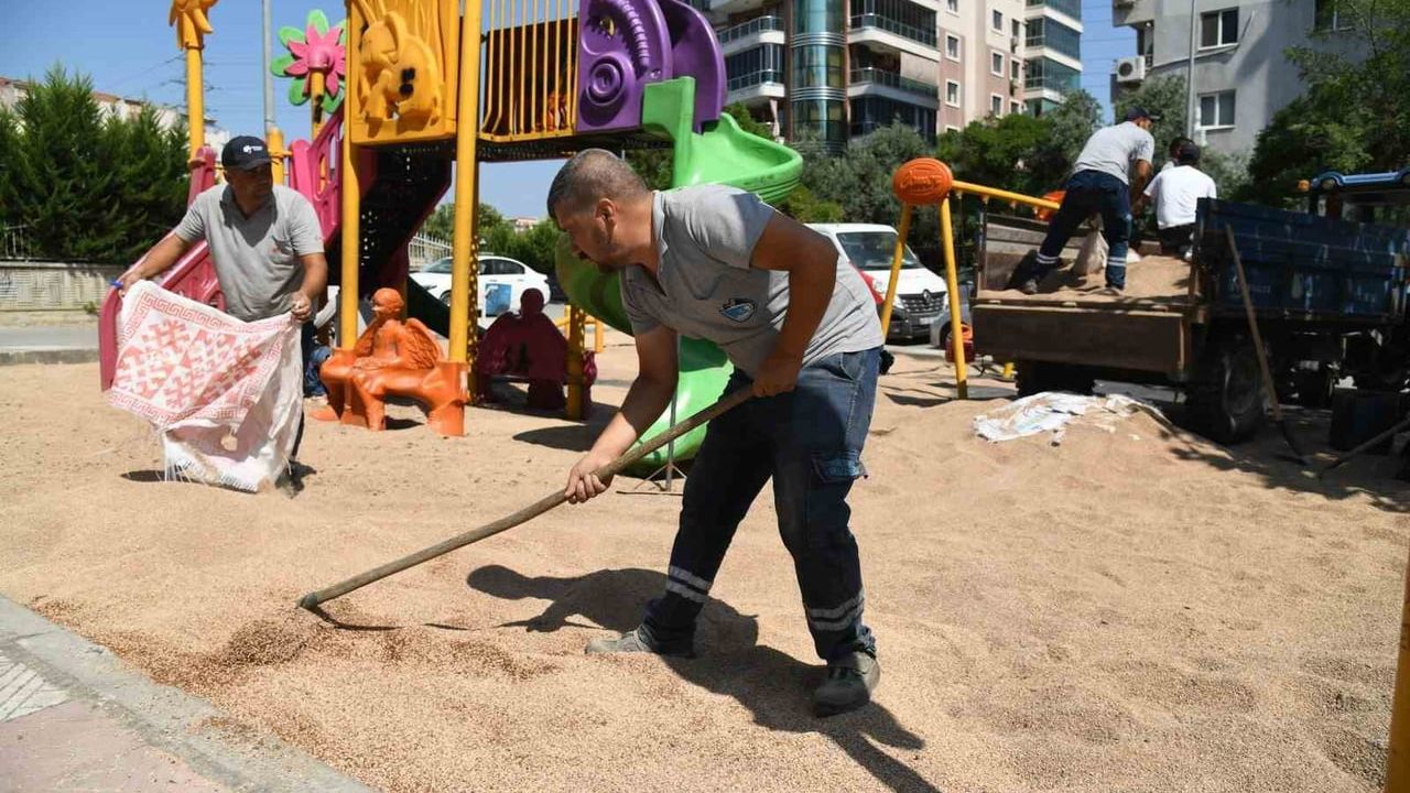 park zeminlerinde zeytin çekirdeği dönemi