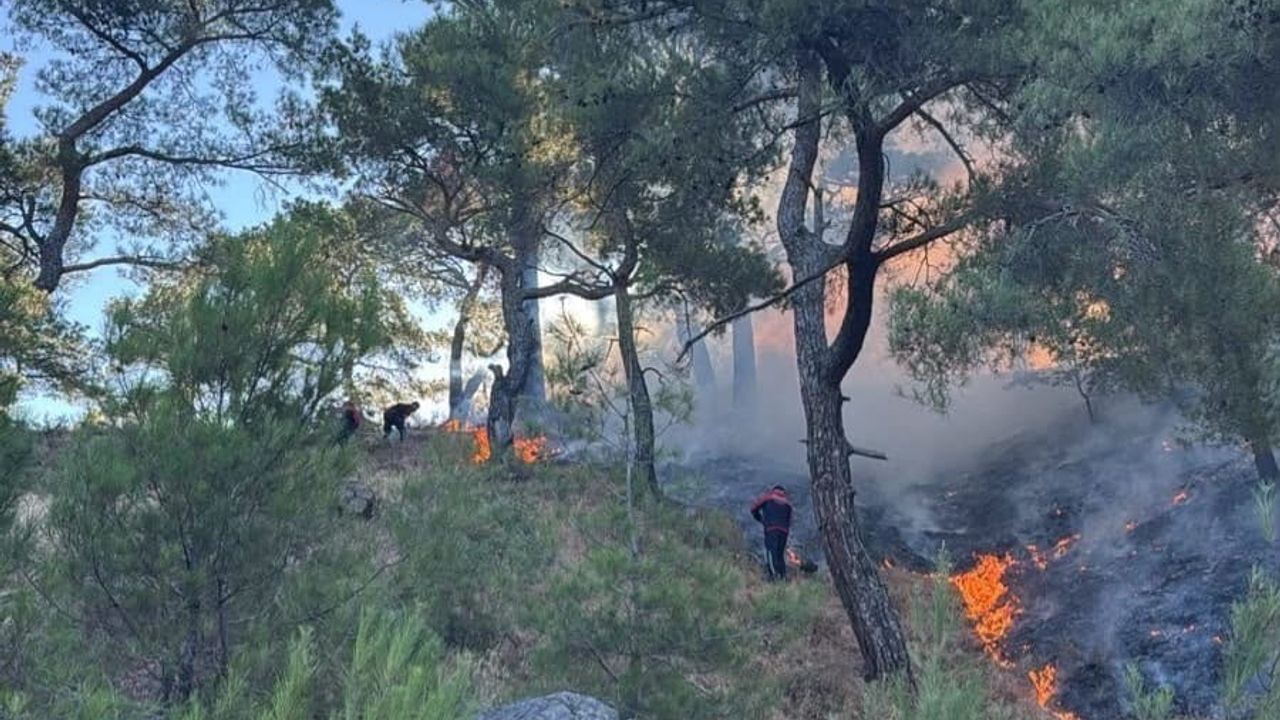 Pendik'ten Gömeç'e müdahale: PEAK ekipleri soğutma çalışmalarına katıldı