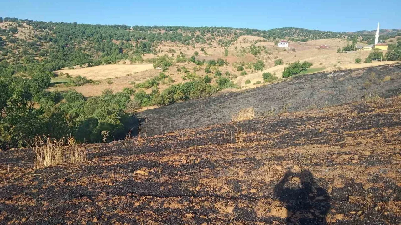 Pütürge'de çıkan yangında iki ev ve yaklaşık 20 dönüm alan zarar gördü