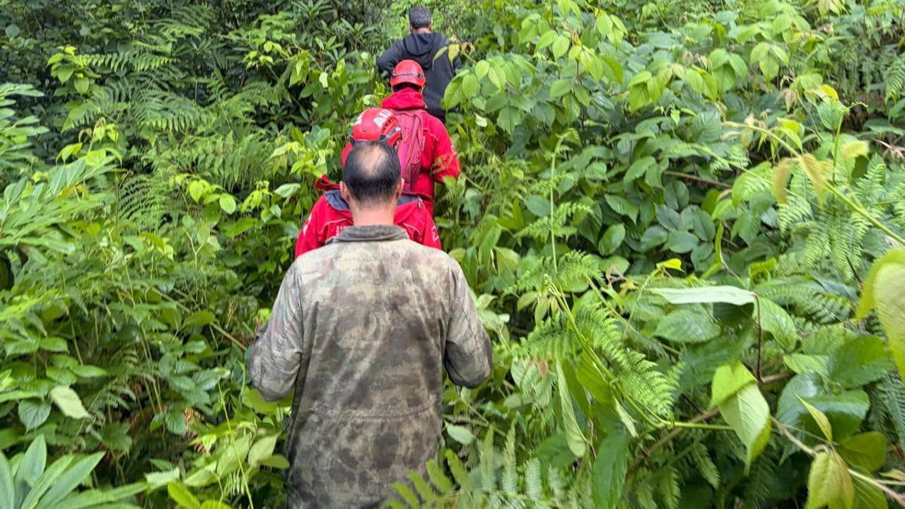 Rize'de balık tutmak için girdikleri ormanda kaybolan 3 kişi bulundu