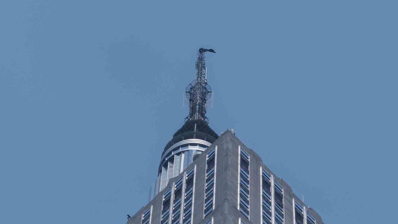 Rus çift Empire State binasında evlilik teklifiyle gözaltına alındı