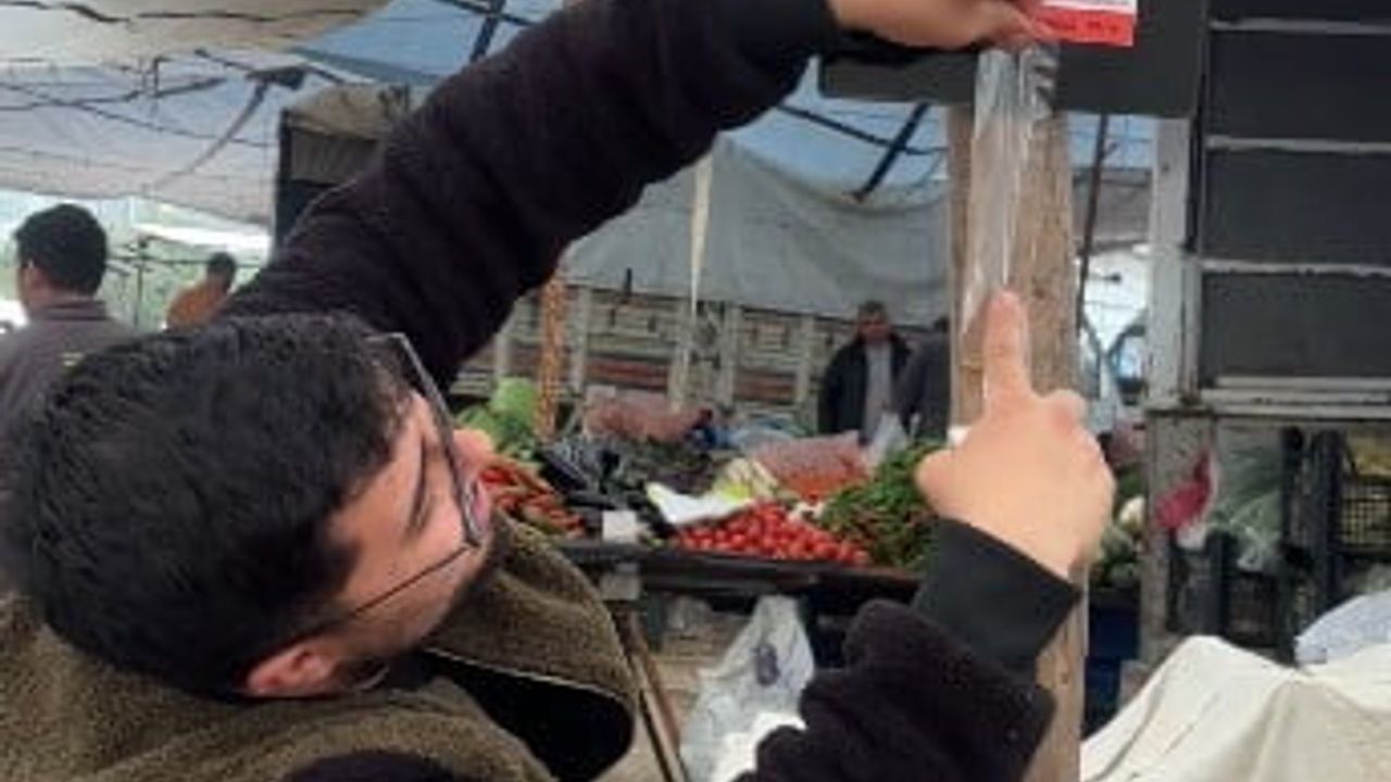Rus kadın kaybolan köpeği Biba'yı Kaş ve çevresinde arıyor