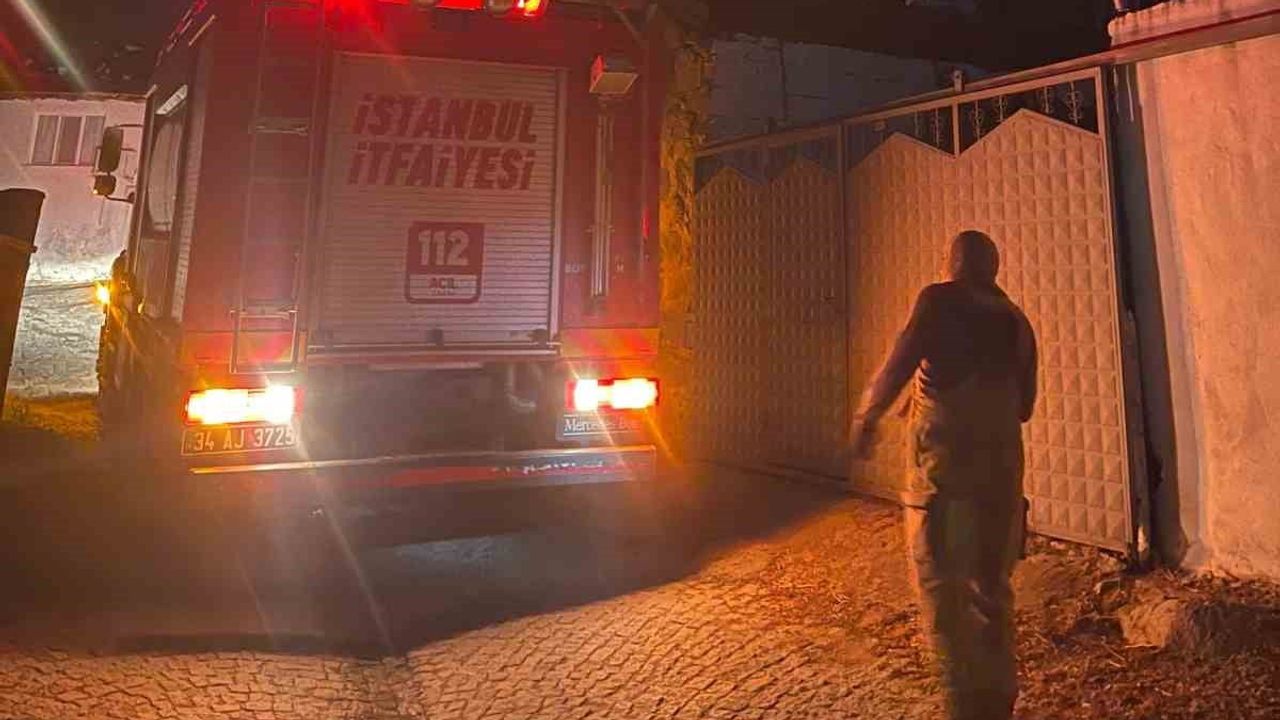 Rüzgarın yüzü değişti: Gömeç'te itfaiyenin alevlerle zorlu mücadelesi