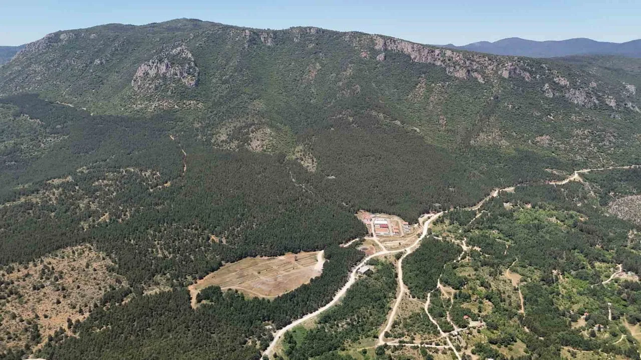 Safranbolu'da 35 gündür kayıp üniversite öğrencisi ormanda ölü bulundu