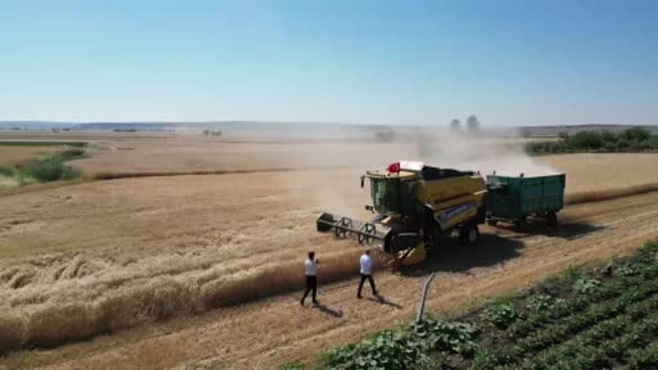 Şahinbey'de buğday hasadı çiftçileri mutlu etti