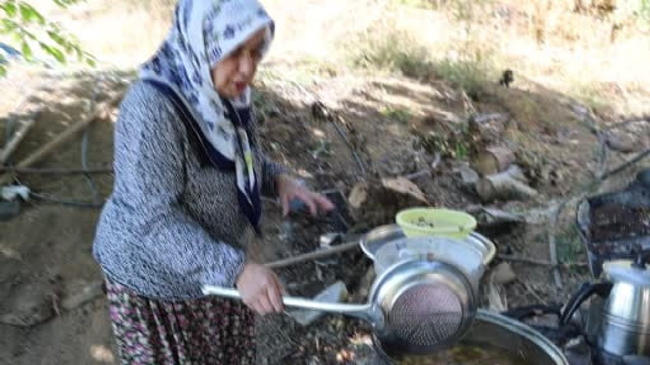 Saimbeyli'de dalında kalan kirazlar kışlık çereze dönüşüyor