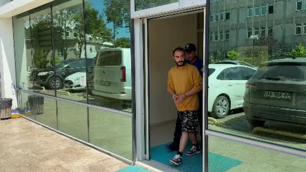 Samsun'da esnafın baktığı kediye tekme atan kişi tutuklandı
