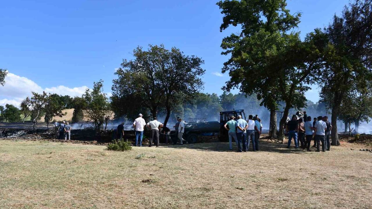 Samsun'da hasat sırasında çıkan yangın yaklaşık 300 dönüm buğdayı tahrip etti