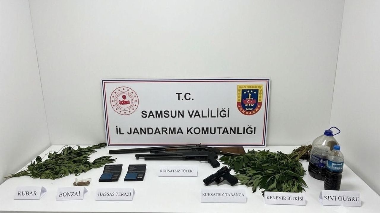 Samsun'da jandarma uyuşturucu, silah ve kenevir ele geçirdi