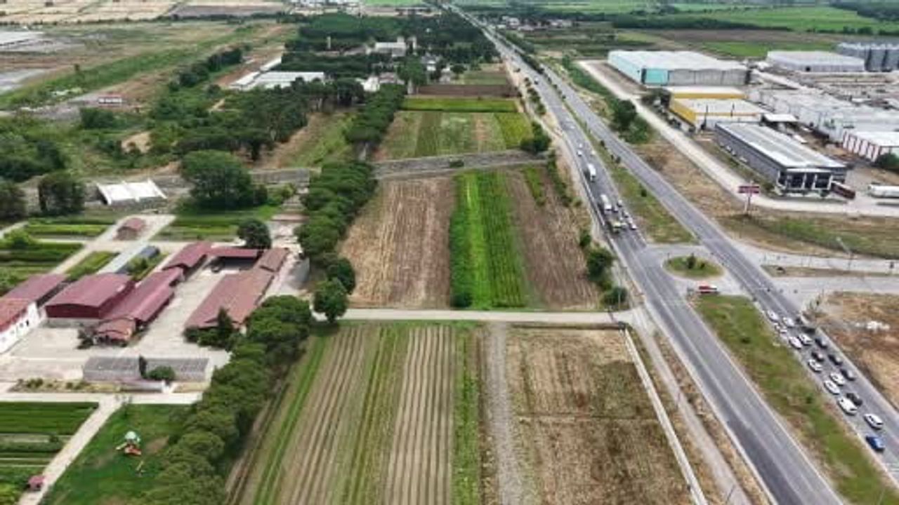 Samsun'dan 'yeşil vatan'a yılda 3 milyon fidan