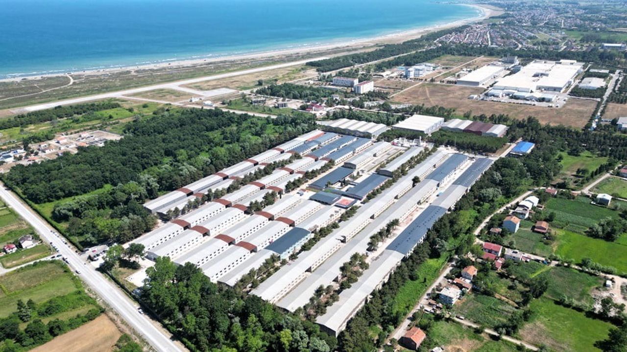 Samsun Üniversitesi yatırımlarında öncelik dersliklerde: morfoloji binasında yüzde 19 tamamlandı