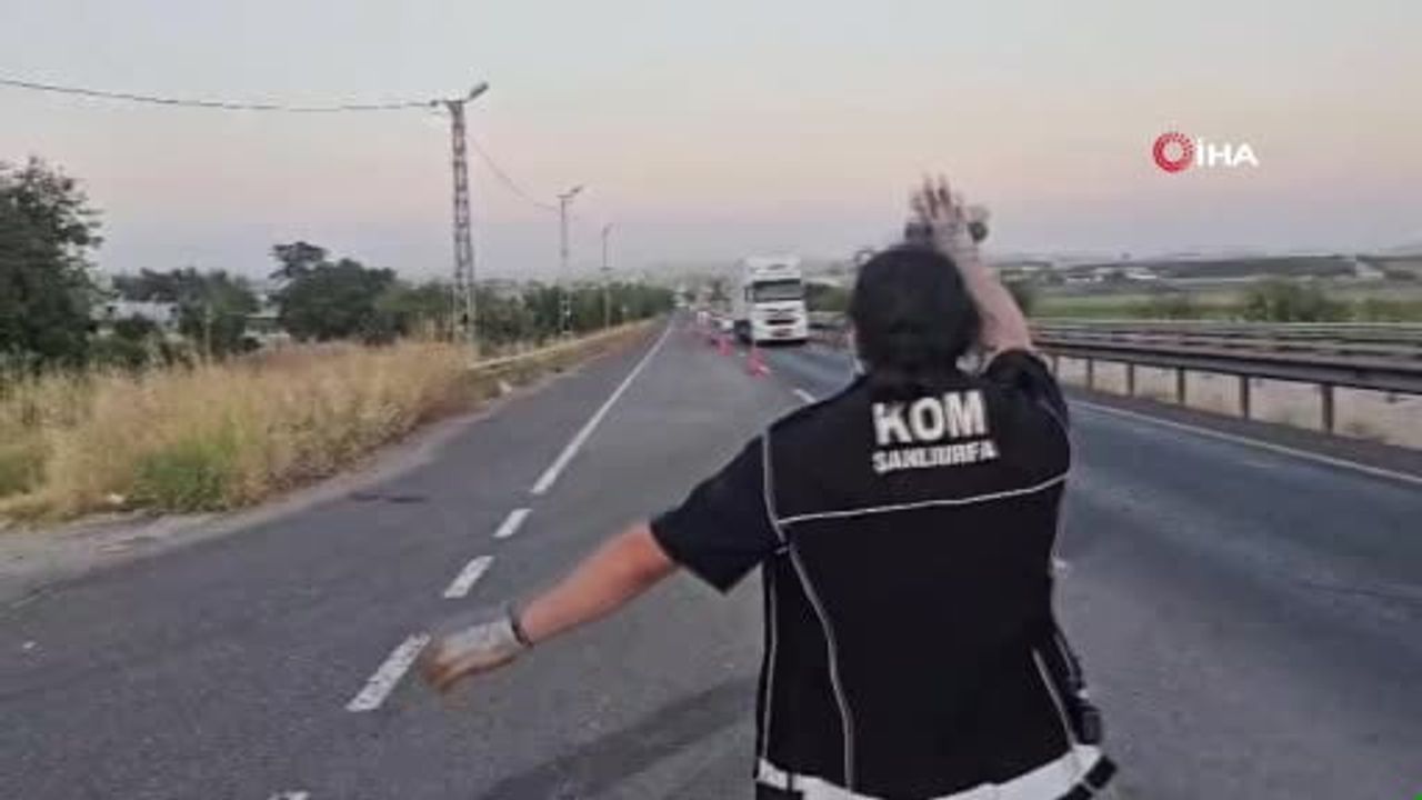 Şanlıurfa'da milyonluk kaçak sigara operasyonu