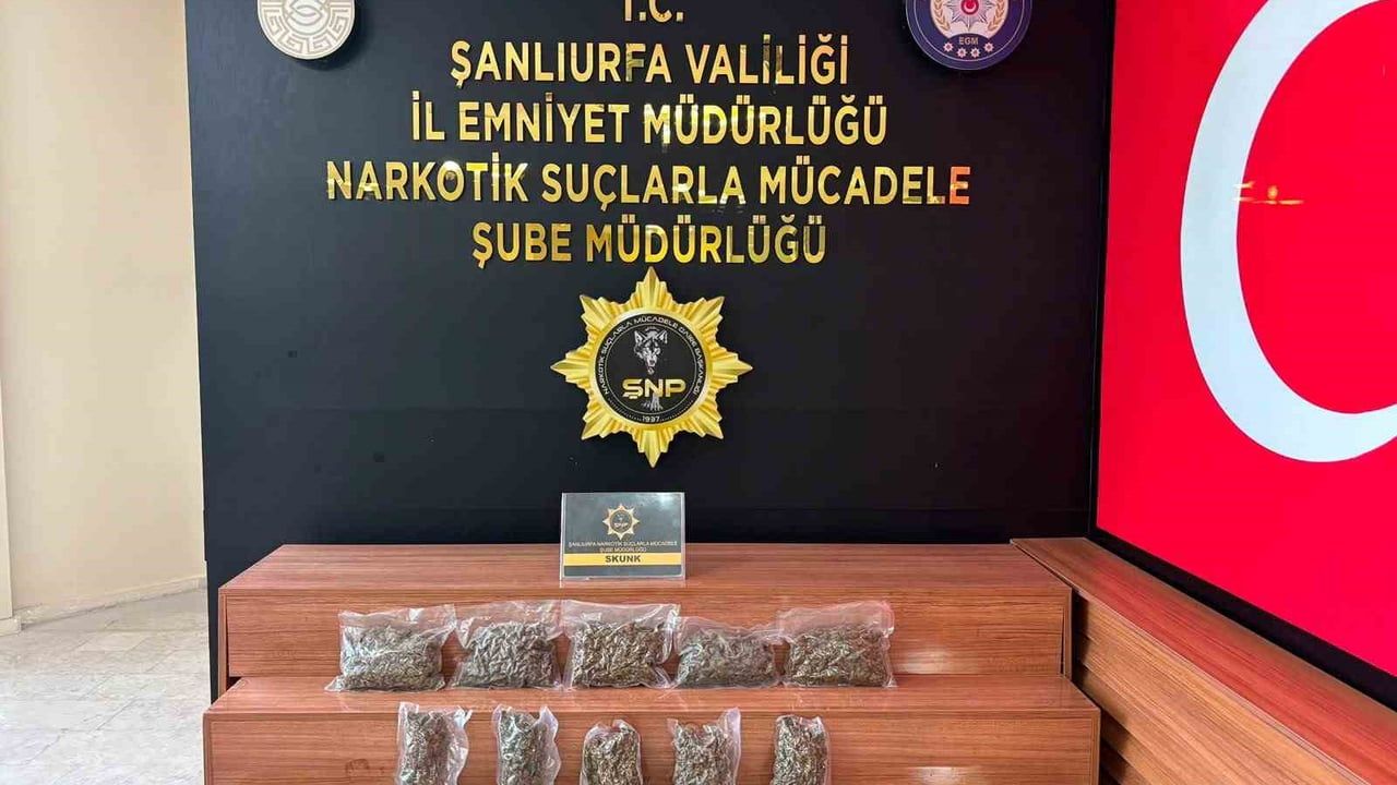 Şanlıurfa'da skunk operasyonu: 2 kilo 600 gram ele geçirildi, 1 tutuklama
