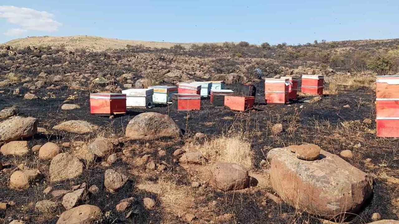 Sarıcan'da alevler arı kovanlarına ulaştı