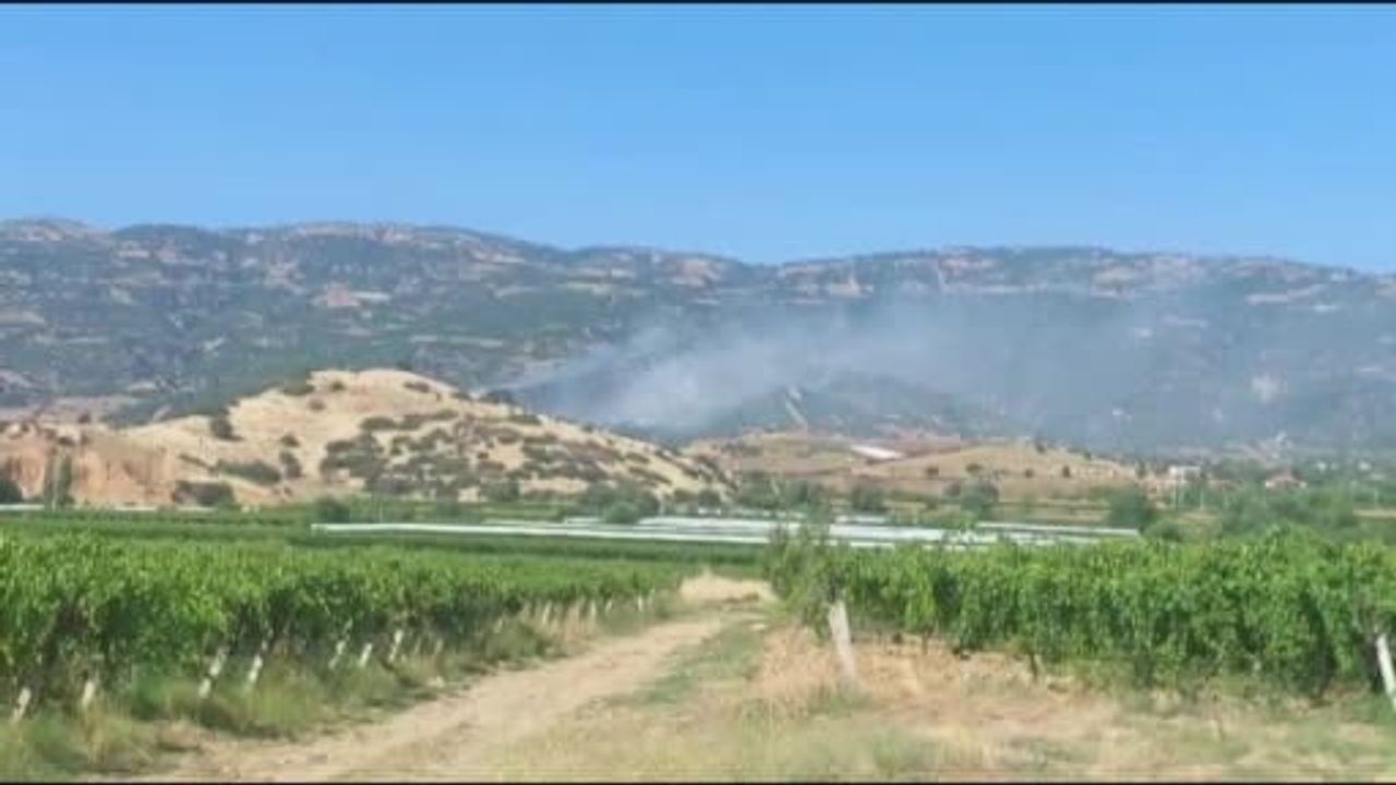 Sarıgöl'de orman yangını: ekipler havadan ve karadan müdahale ediyor