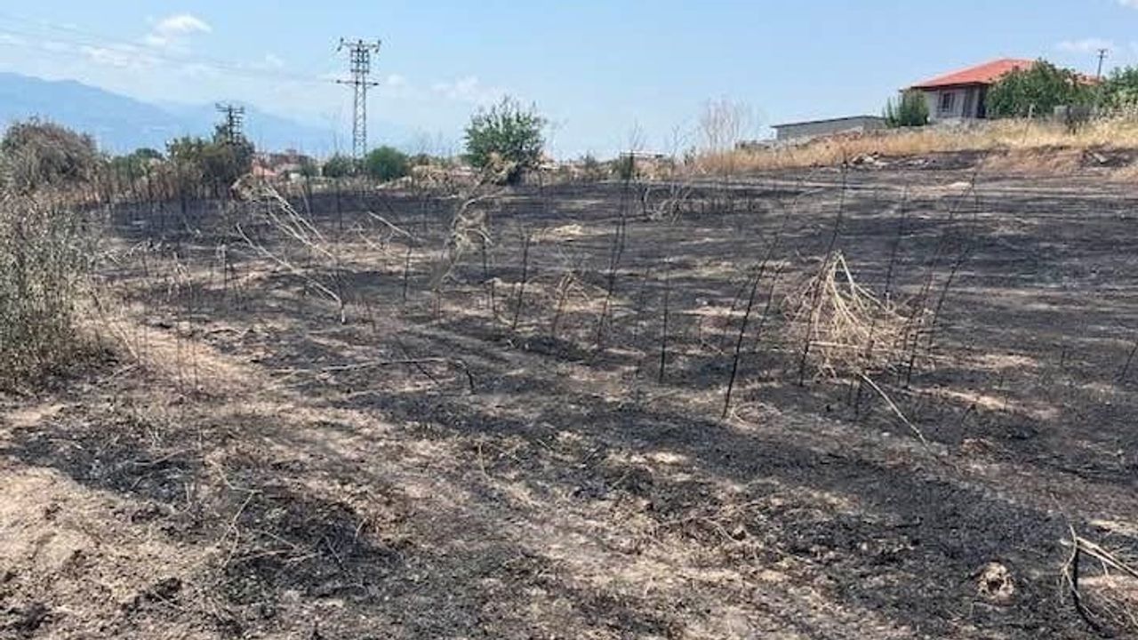 Sarıgöl'de otluk alanda çıkan yangın büyümeden söndürüldü