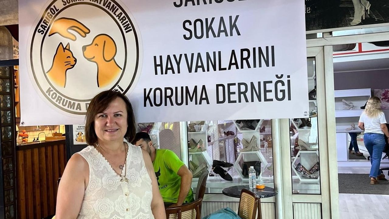 Sarıgöl’de sokak hayvanlarına umut: yeni dernek çalışmalarına başladı