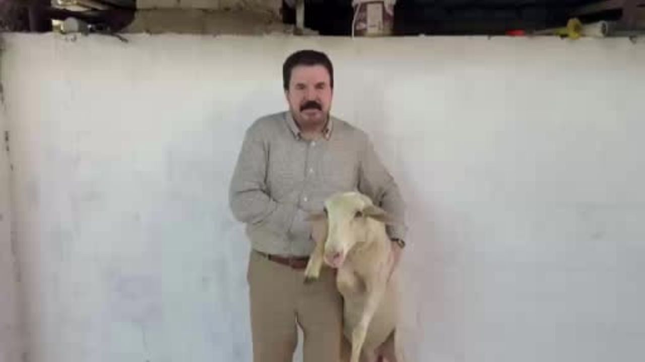 Savcı Sayan 2008'deki adak sözüne uyarak kurbanını kesti