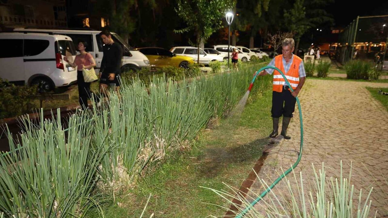 Şehzadeler'de sulamalar gece saatlerine alındı