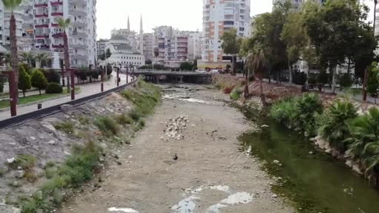 Selin izleri kuşların yaşamını da vurdu