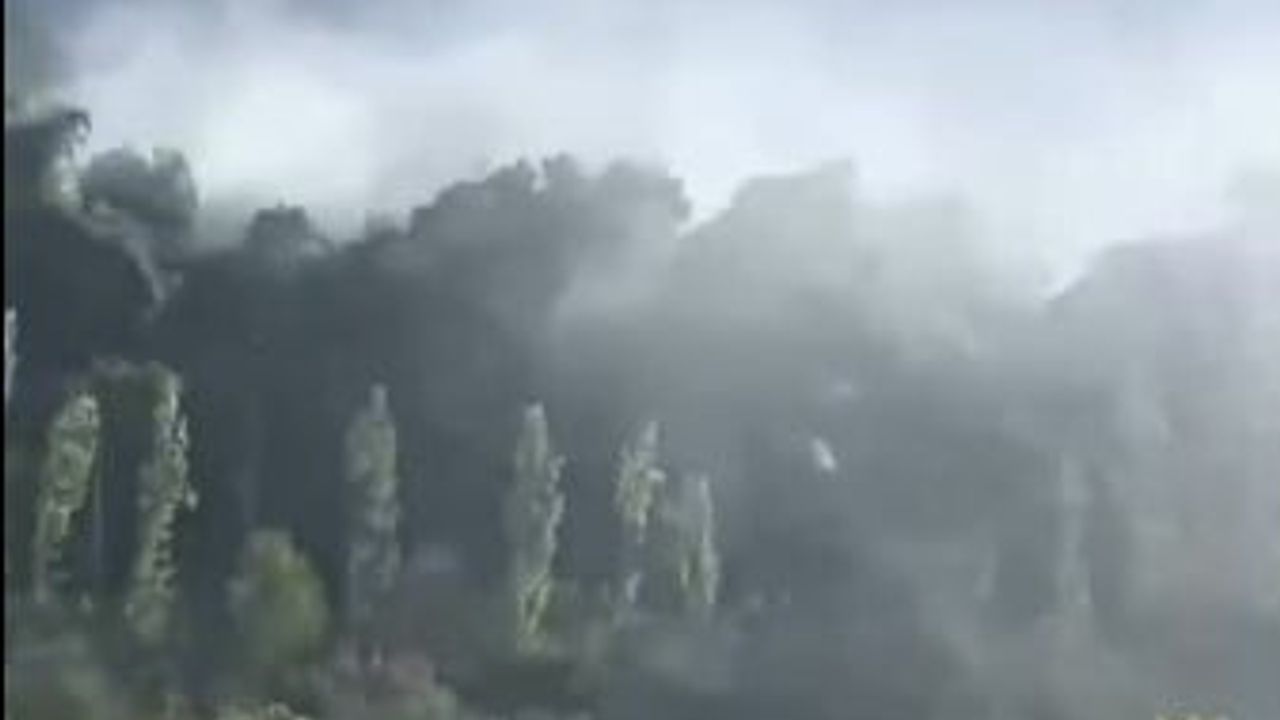 Seydikemer'de Bayır Mahallesi'nde ormanlık alanda yangın