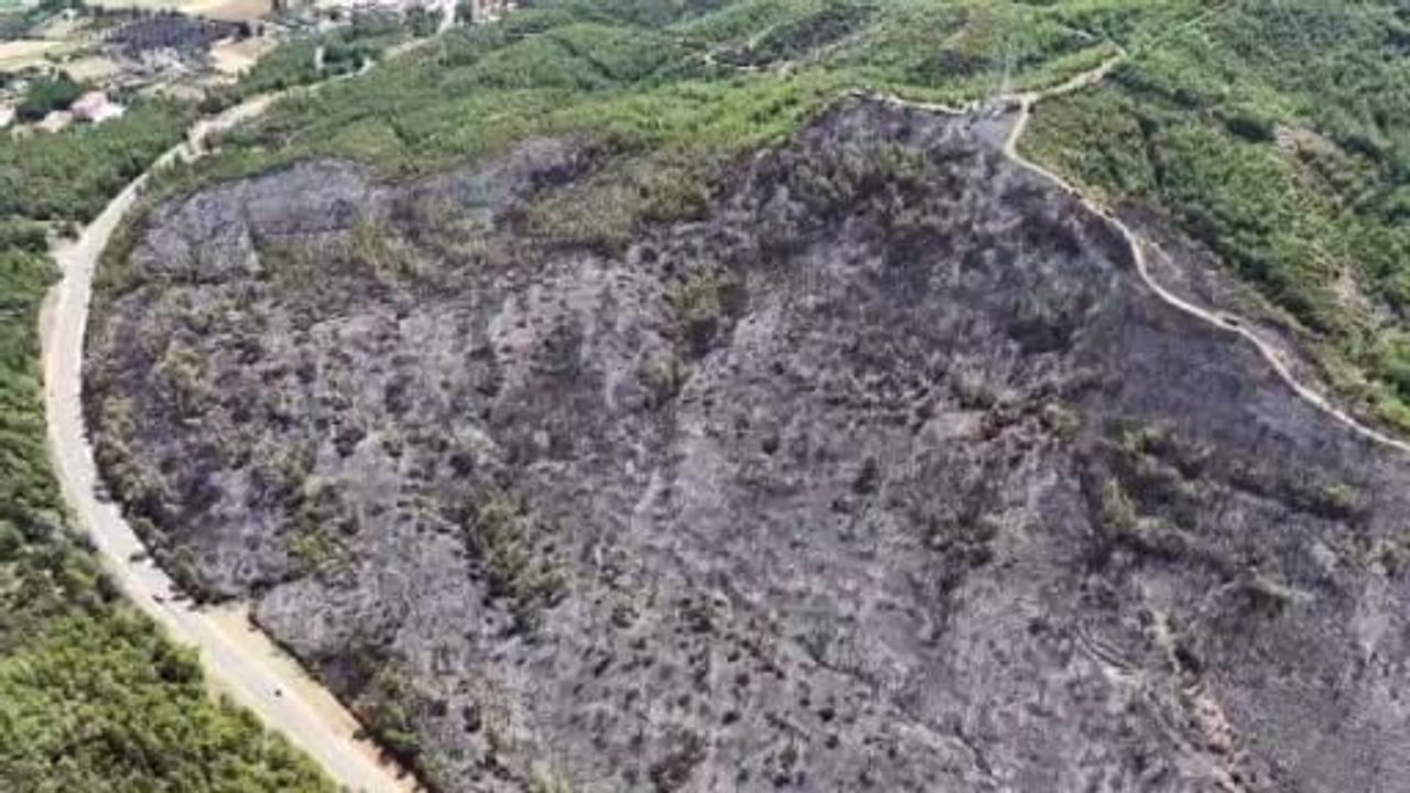 Seydikemer'de dron görüntüleriyle ortaya çıkan yanık orman manzaraları