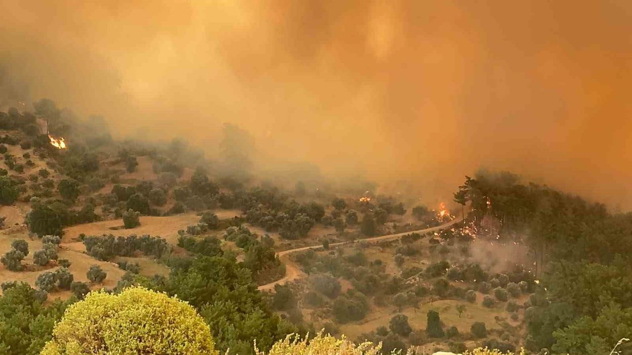 Seydikemer'de orman yangını Fethiye-Antalya yolunu geçici olarak kapattı