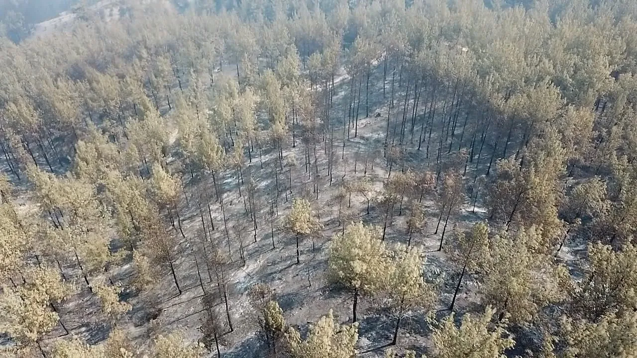 Seydikemer'de yangının izleri havadan: kilometrelerce yanık alan görüldü