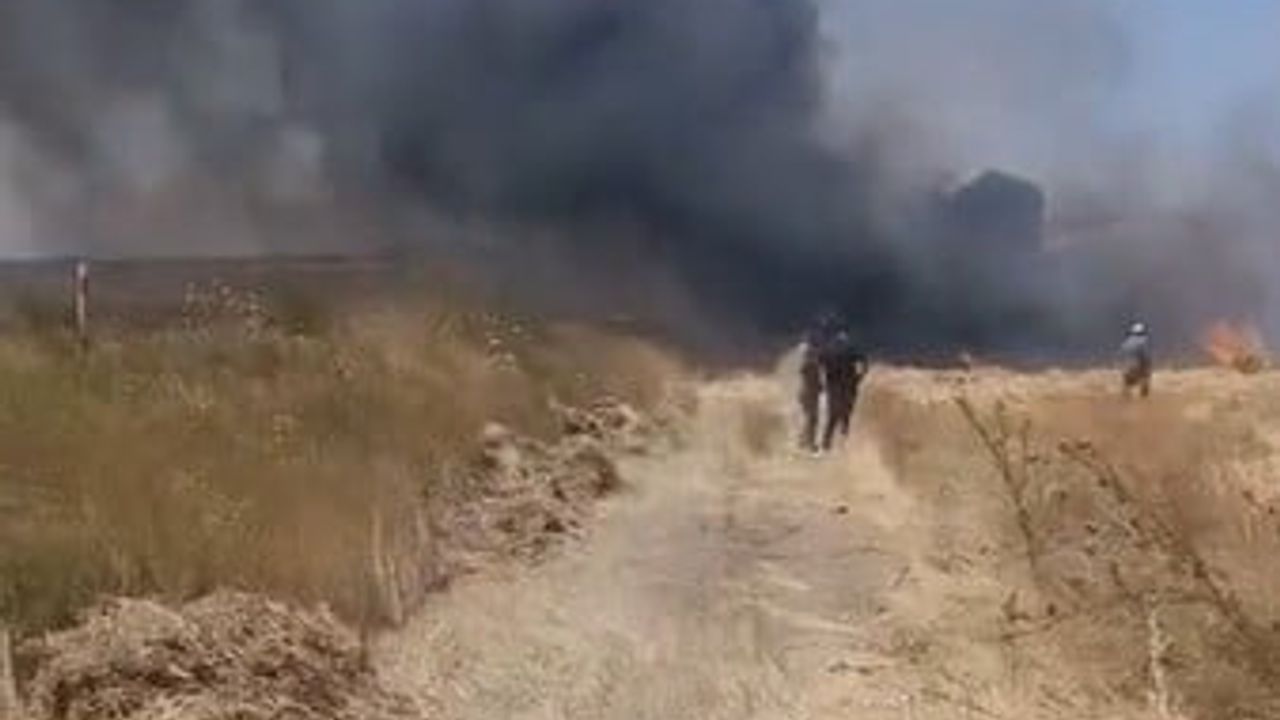 Seyitgazi'de biçerdöver yangını yaklaşık 2 dönüm zarar gördü