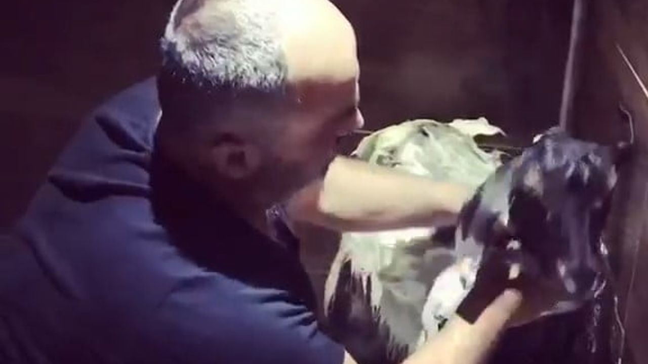 Sıcaktan bunalan keçisini banyoda şampuanla yıkadı