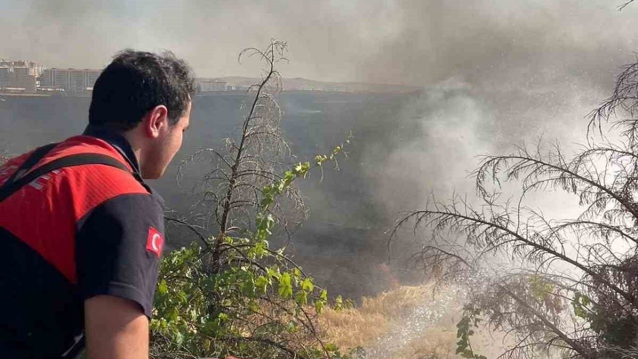 Siirt'te çevre yolunda anız alevleri itfaiye ve TOMA ile durduruldu
