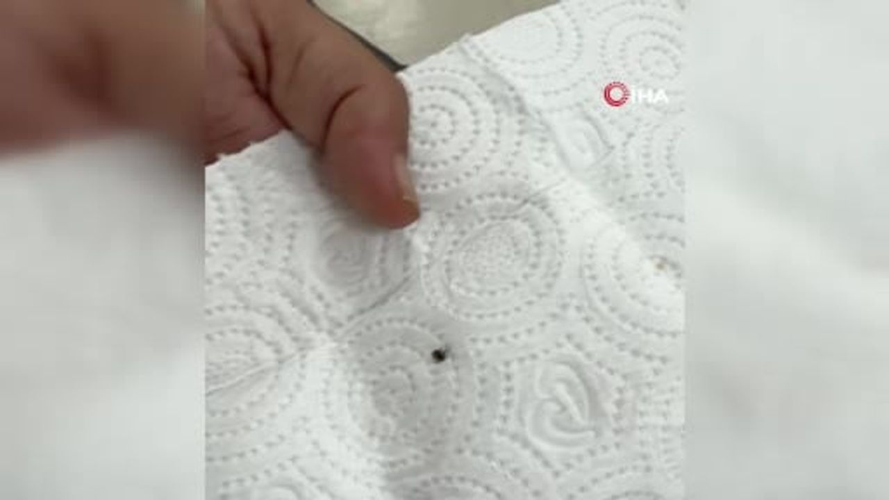 Siirt'te kene tespit eden vatandaş kontrol amacıyla hastaneye başvurdu