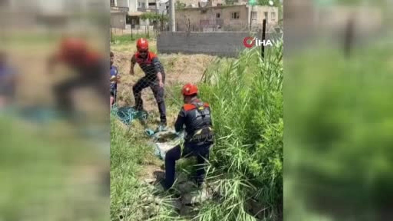 Siirt'te kuyuya düşen köpek kurtarıldı