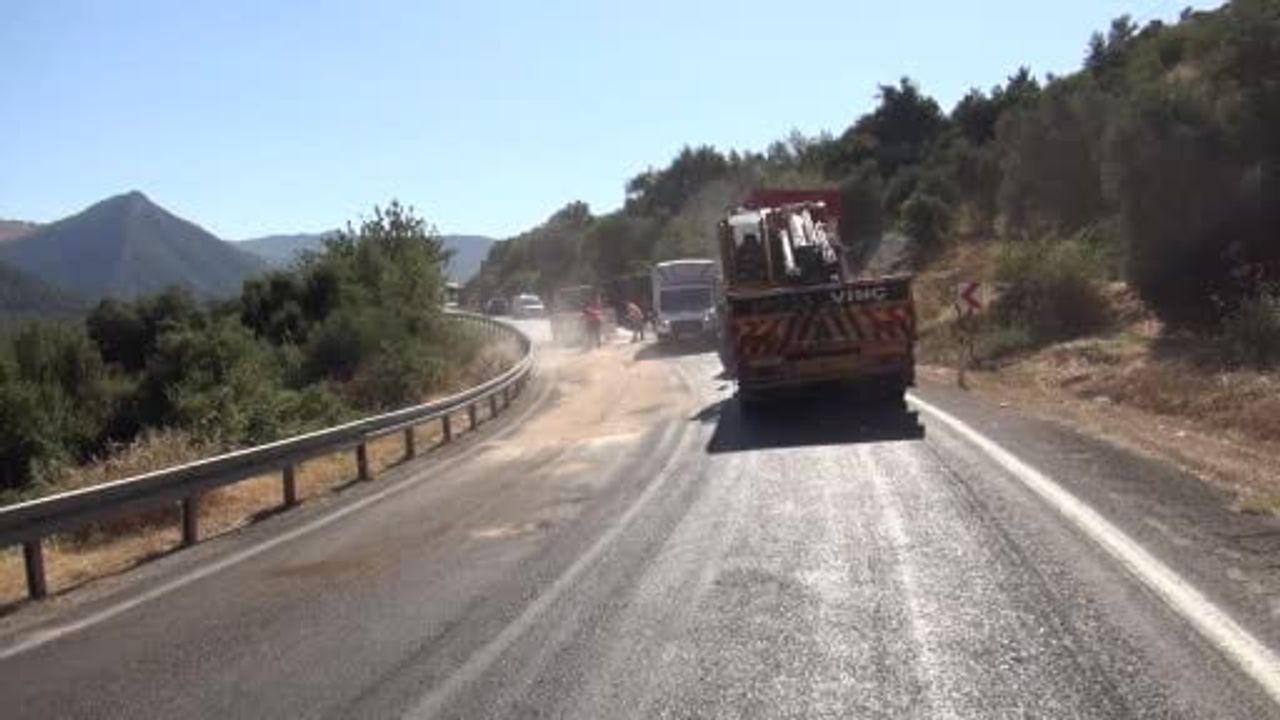 silifke'de büyükbaş yüklü tır devrildi: onlarcası telef oldu