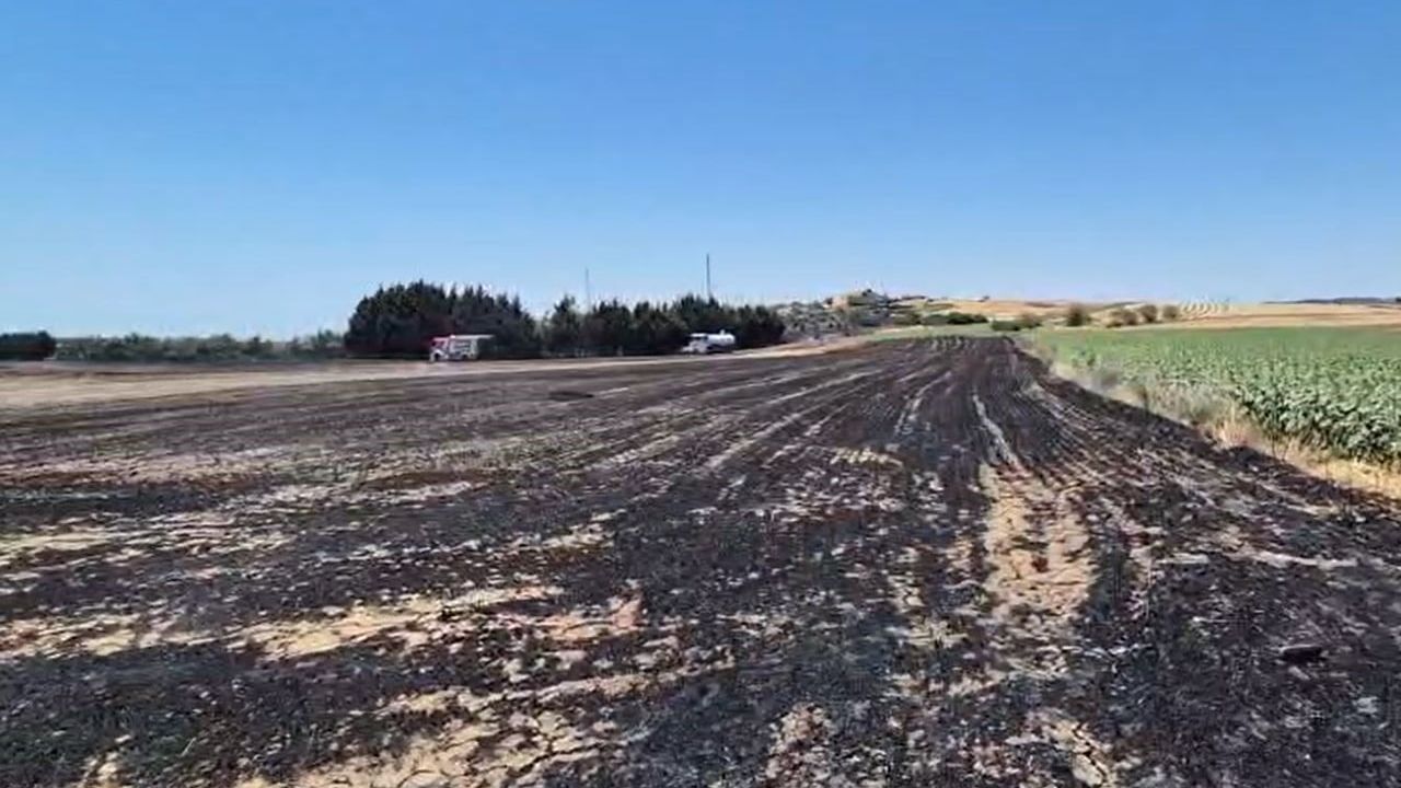 Silivri'de elektrik direği kesimi sırasında çıkan yangın ekili arazilere sıçradı